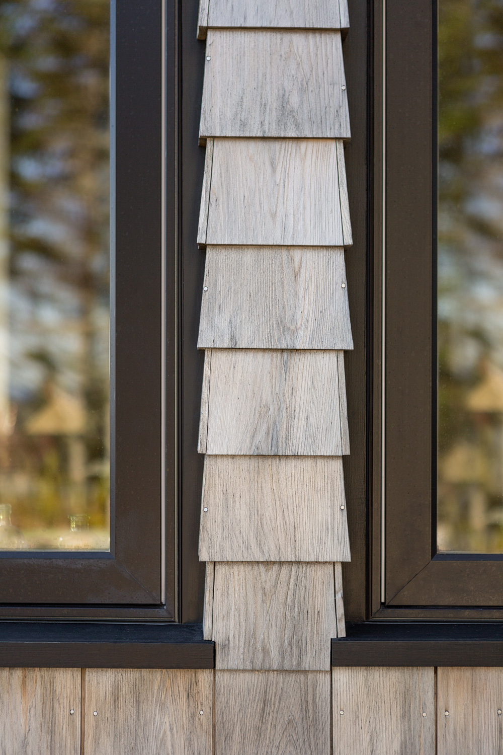 Siding and Window Deatil