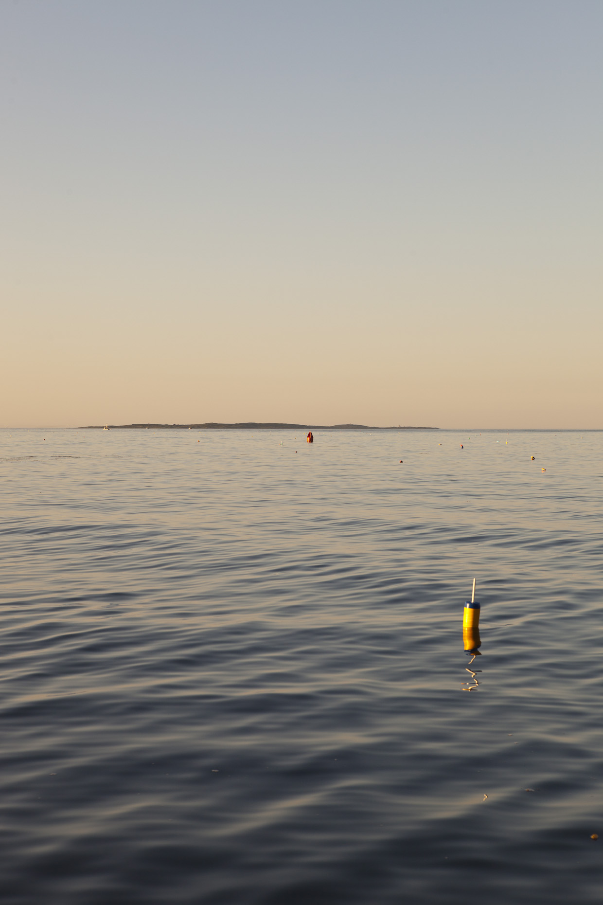 Lobster Buoys in the Ocean