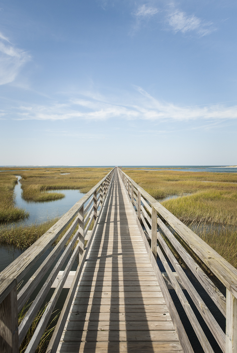 Boardwalk Over a Marsh
