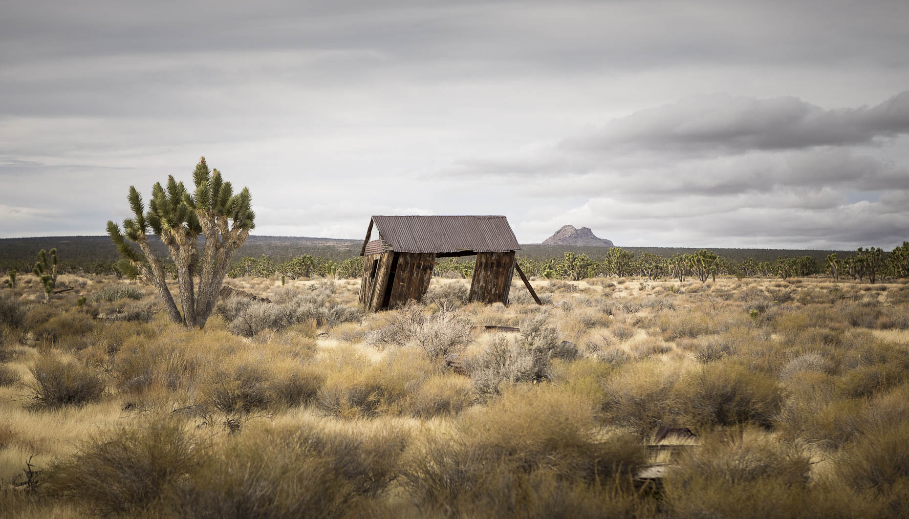Dilapidated Shed in Desert