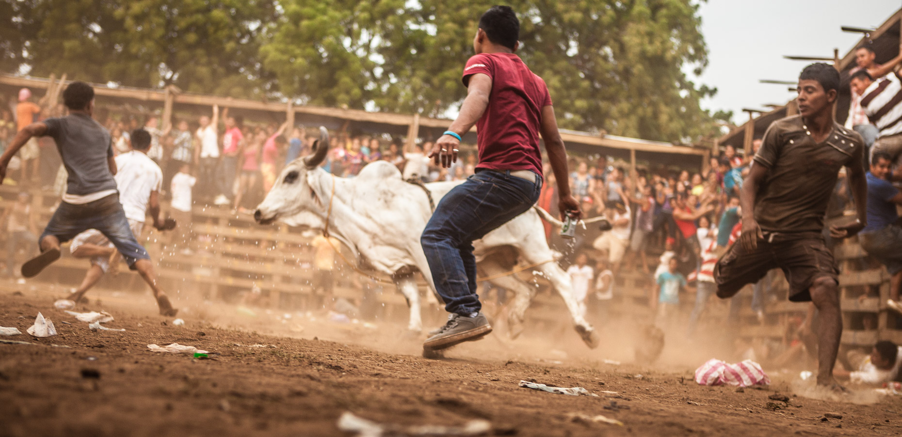 Bull Fight in Nicaragua